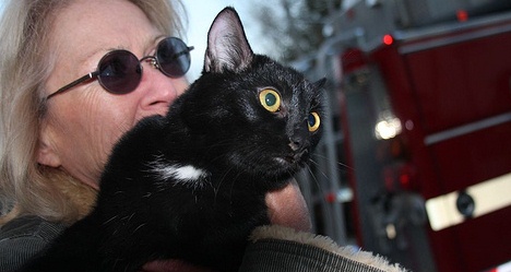 another successful kitty rescue, photo by Sabrina Schantzen