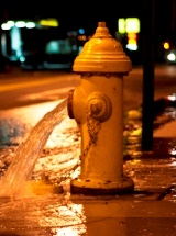 photo by Jason Fegely