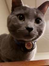 photo by Monessen FD #1