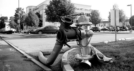 photo by Vincent J Brown